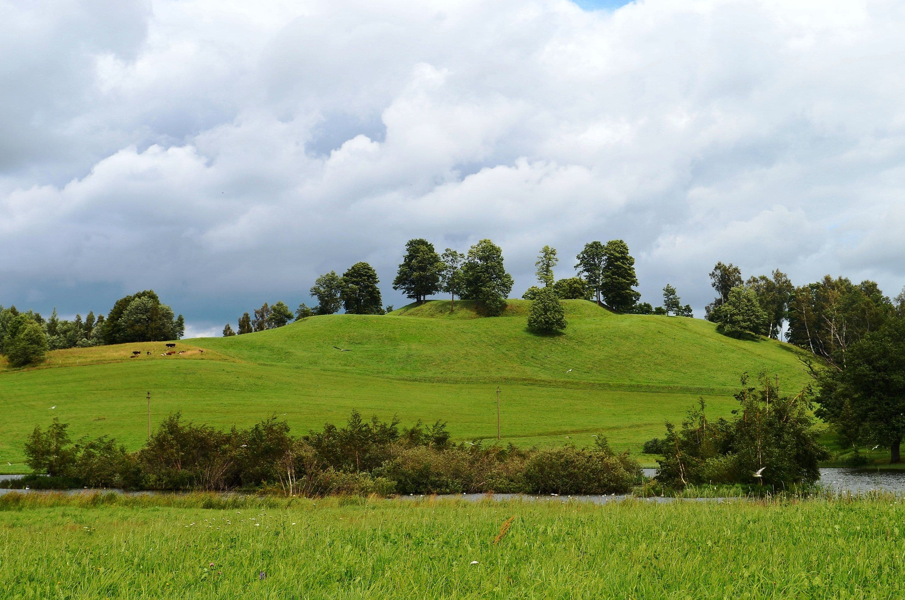 Bilionių piliakalnis