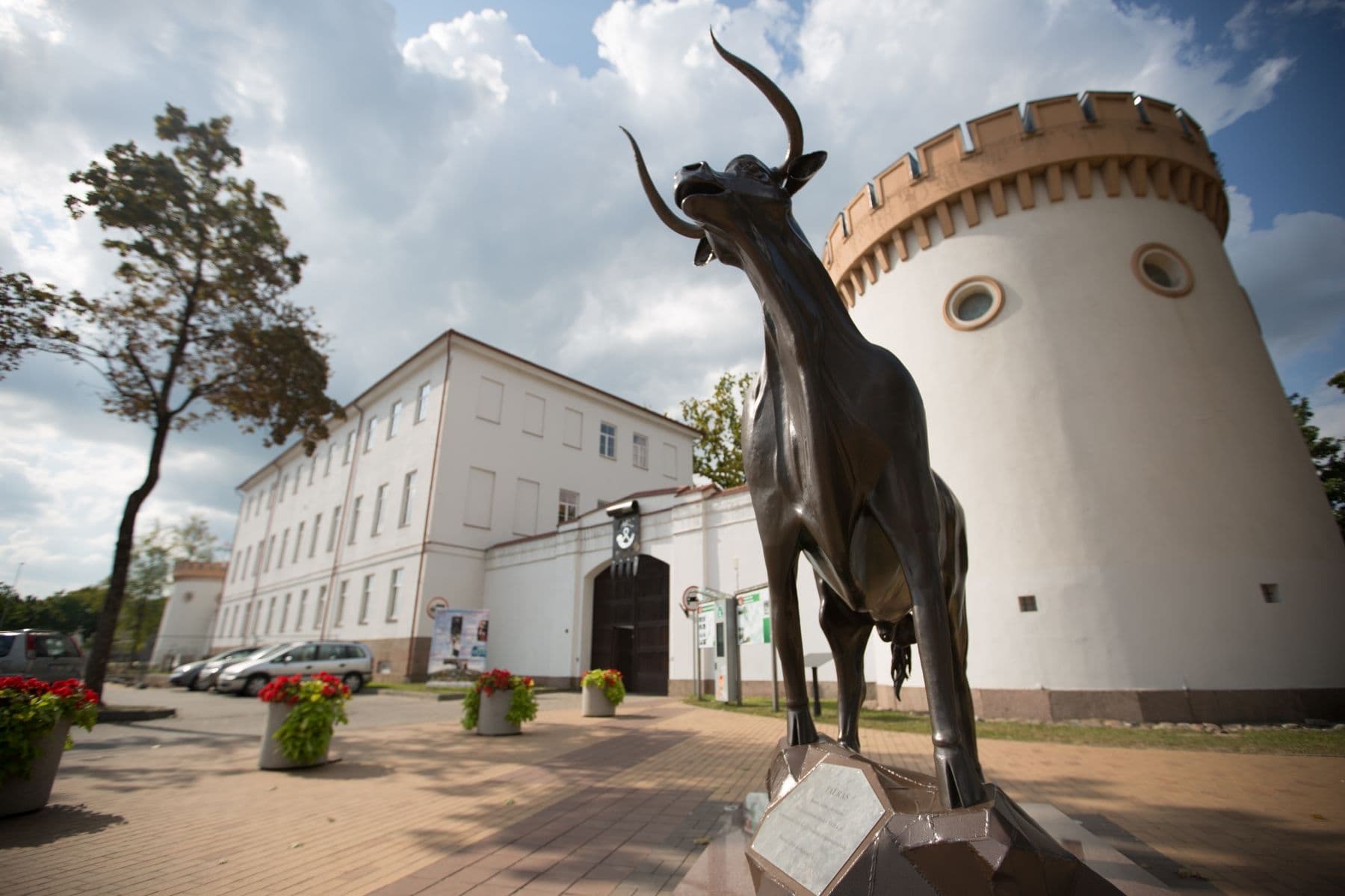 alt was not provided