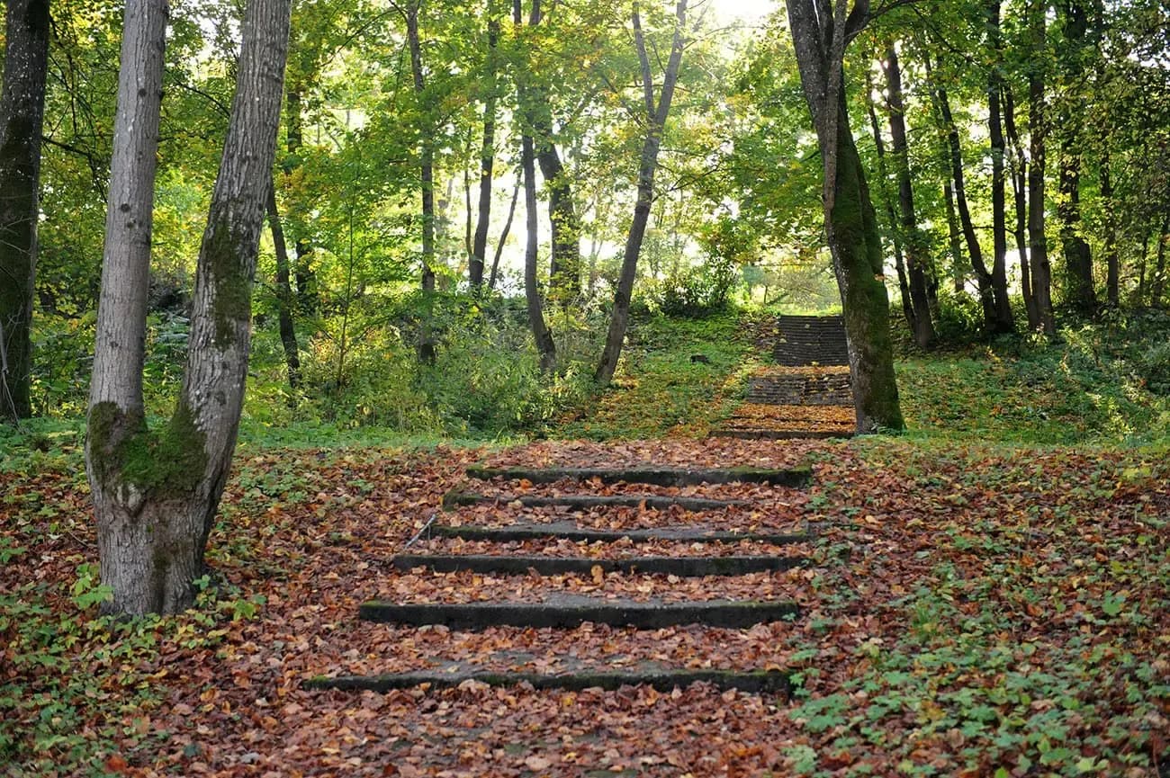 alt was not provided